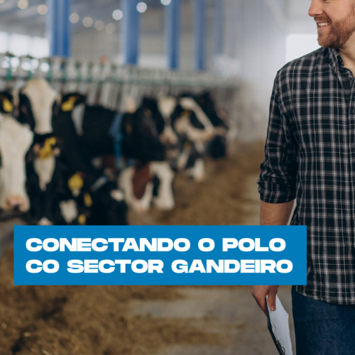 Web cuadrado