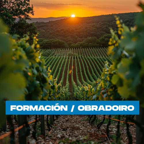 Presencial